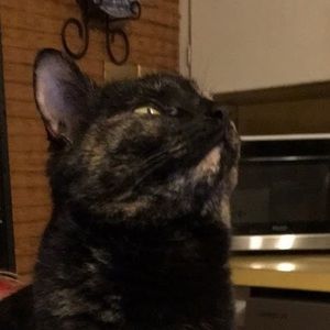 Meet your Posher, Sophia